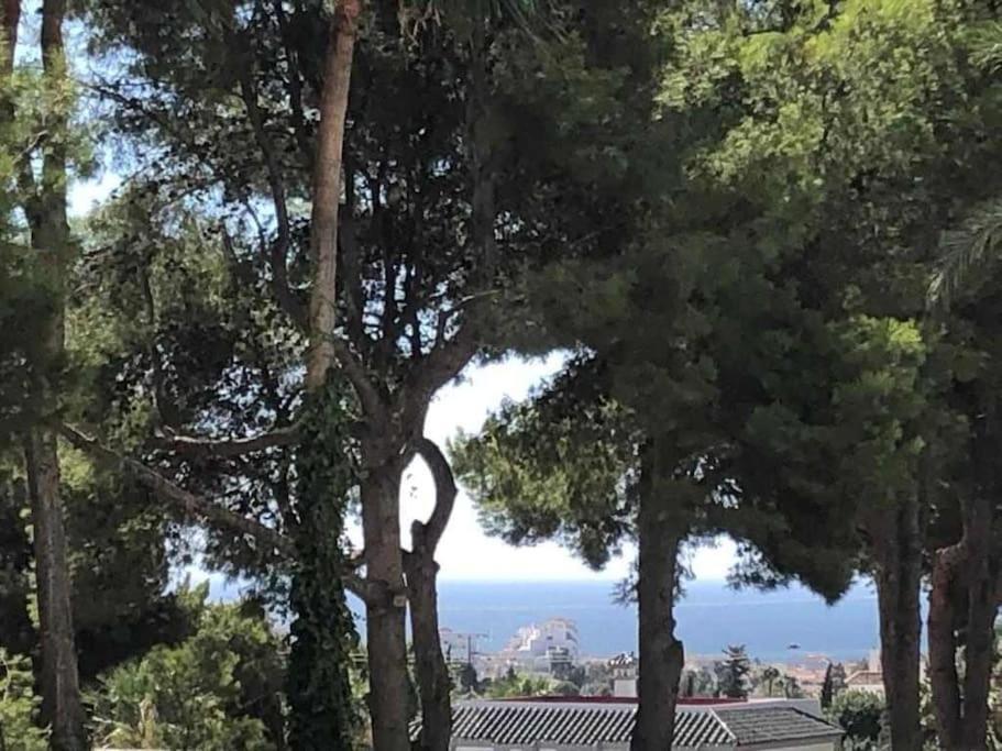 Estudio Torre De Andalucia Marbella Eksteriør billede